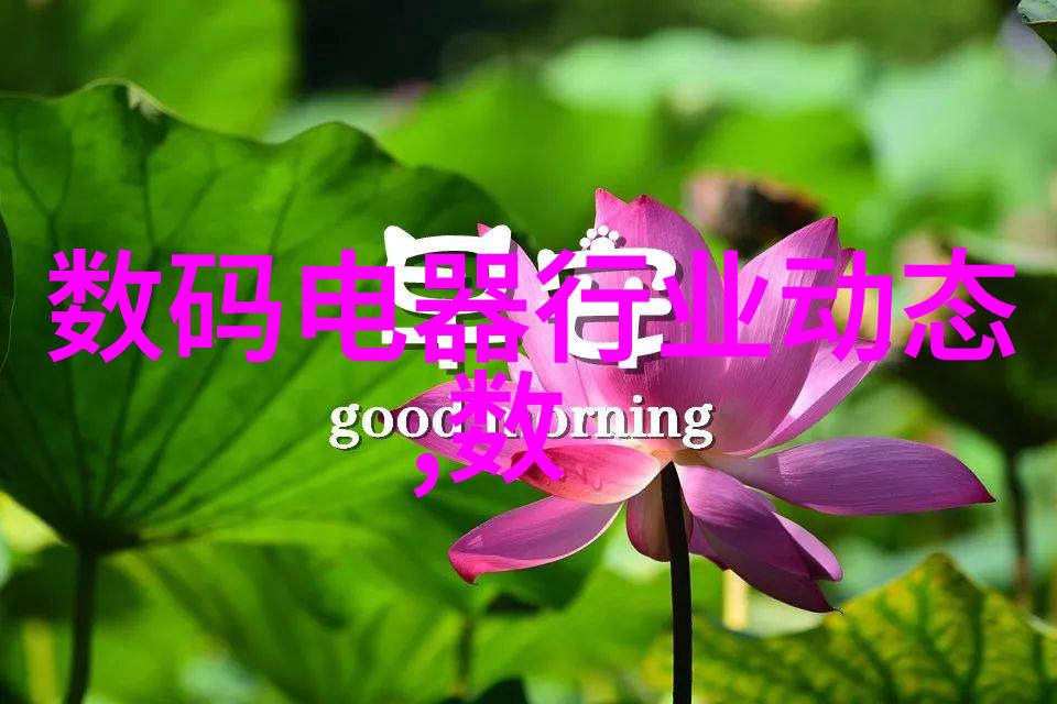 不锈钢闸阀 304不锈钢闸阀 表前软密封闸阀